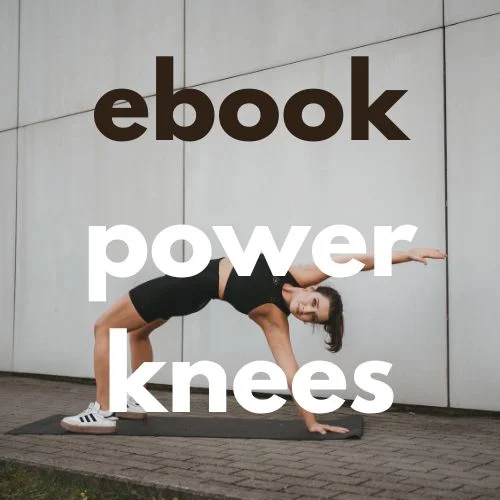 logo promujące ebooka power knees od pow pow riders